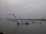 Kerala: Kinesiska fisken�t