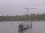 Kerala: Kinesiska fisken�t
