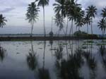 Kerala: Genom de br�ckta vattnen