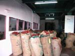Kerala, Kochi: Br�nnande stark r�dpeppar