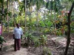 Kerala, Karumalloor: Johnnys och Marys tr�dg�rd