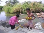 Karnataka: On nous offre des noix de coco