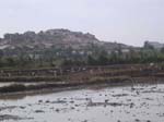 Karnataka: Pr�s de Hospet
