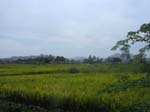 Karnataka: Pr�s de Hospet