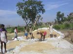 Karnataka: On p�se le riz