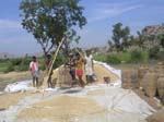 Karnataka: On p�se le riz