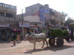 Karnataka, Hospet: Le march�