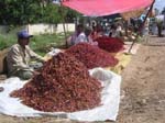 Karnataka, Halebid: Le march�