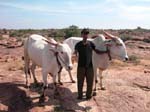 Karnataka, Badami: Un berger, notre guide