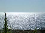 Sandhamn: The vacation home