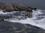 Sandhamn: The vacation home