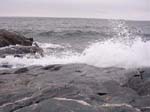 Sandhamn: The vacation home