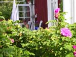 Skellefte�: Anders et Birgitta