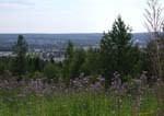 Skellefte�
