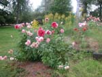 Bor�s: Chez ma tante Helen et Anders