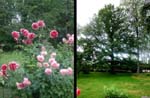 Bor�s: Chez ma tante Helen et Anders