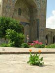 Shahrisabz: The Jehangir Mosque