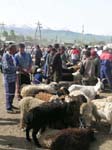 Karakol: F�r till salu...