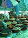 Tashkent
