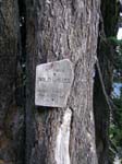 Chain Lakes: La piste commence i�i
