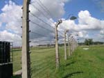 Poland, Oswiencim: Birkenau