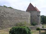 The ringed wall