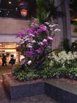 A l'aeroport de Singapour