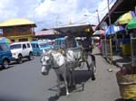 Bendi: Le taxi cheval