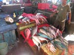 Le march� aux poissons