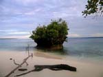 Vi �r l�ngt fr�n Biak!