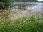 �sterg�tland: Une aire de repos