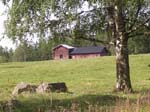 H�lsingland
