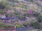 ... mot Corniglia