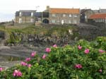 Craster ...