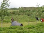 Geysir: Campingplatsen
