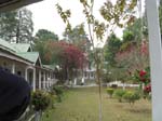 Kaziranga Lodge