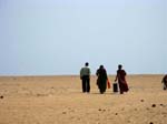 Les dunes vers la mer