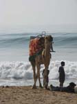 Puri: la plage toujours