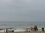 Sur la plage, il y a des chameaux ...