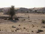 Le d�sert du Thar ...