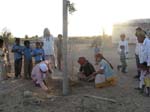 Le neem plant� pour Surain