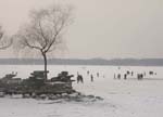 ... in Winter !