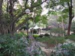 Chinese Garden