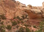 Capitol Reef: An arch in the middle ...