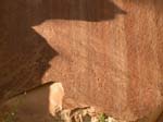 Capitol Reef: Petroglyphs