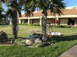 Camping