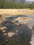 Soda Stream (natriumkarbonat) ...