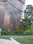 De Young-mus�et