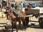 The Market