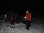 Cheval et ...